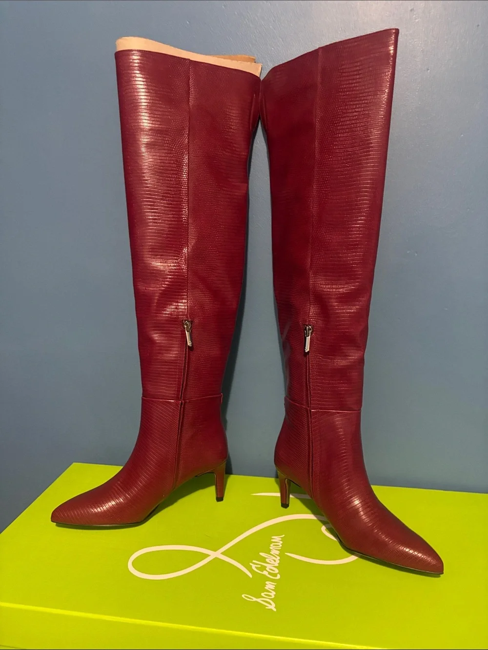 Sam Edelman Red Pointed-Toe Over-the-Knee Boots